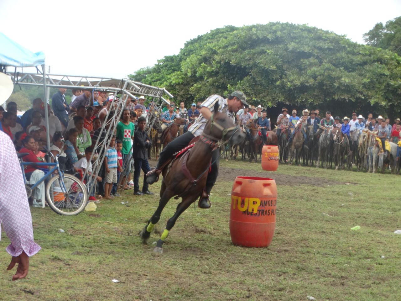 caballos